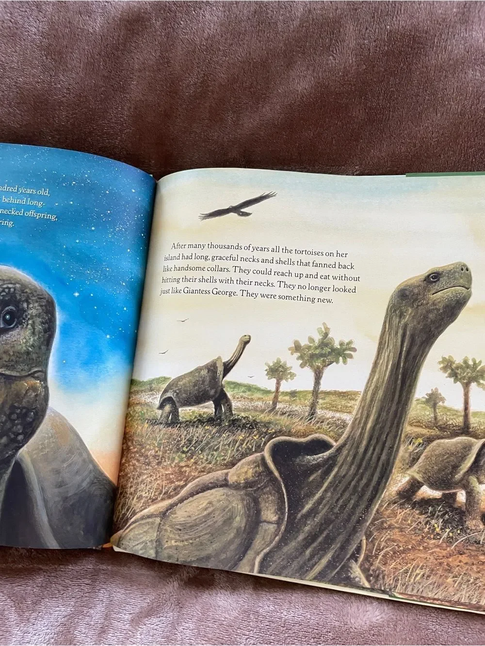 Harper Collins Jean Craighead George Galàpagos George Picture Book Science
